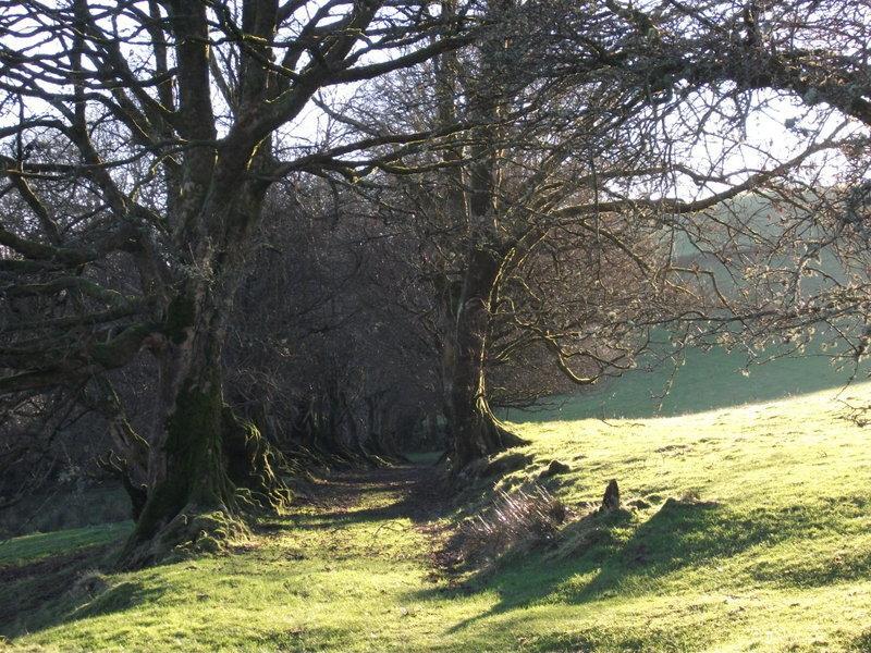 Swallow Barn Llanwrtyd Wells Bilik gambar